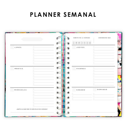 Agenda, planificador mensual y semanal, organizador, diario, metas modelo: Petra